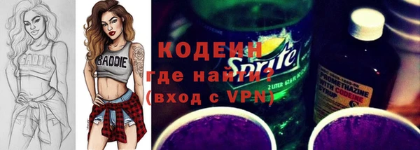 твердый Бородино