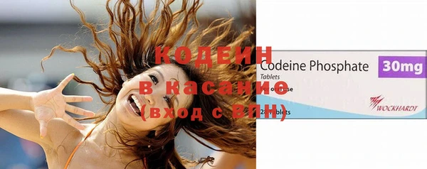 твердый Бородино
