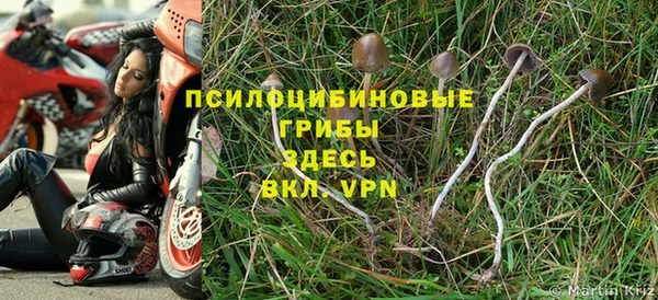 твердый Бородино