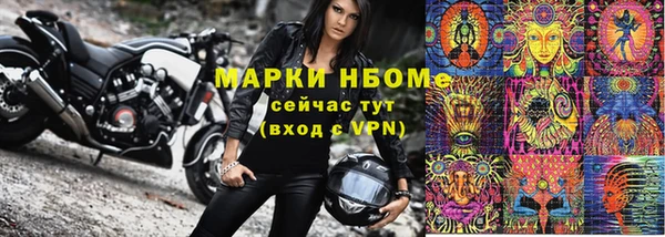 твердый Бородино