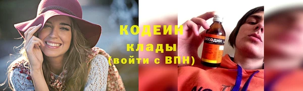 твердый Бородино