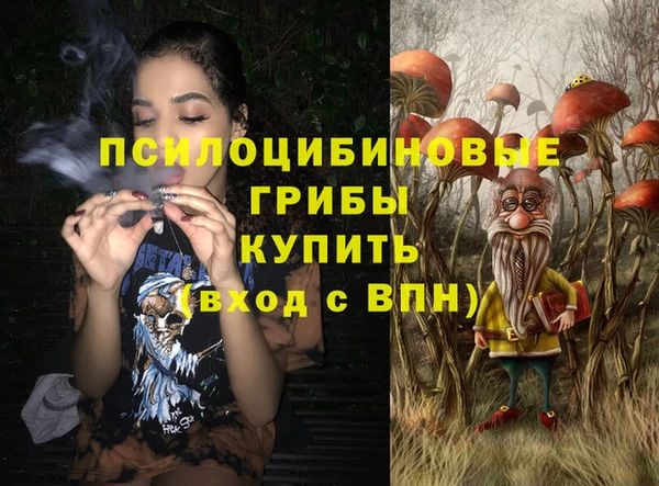 бутират Богданович