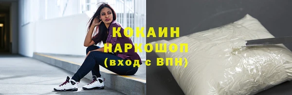 твердый Бородино