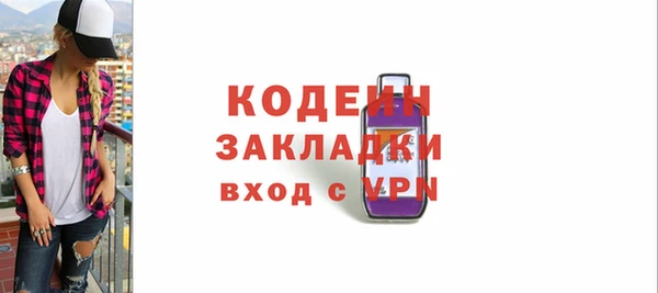 твердый Бородино
