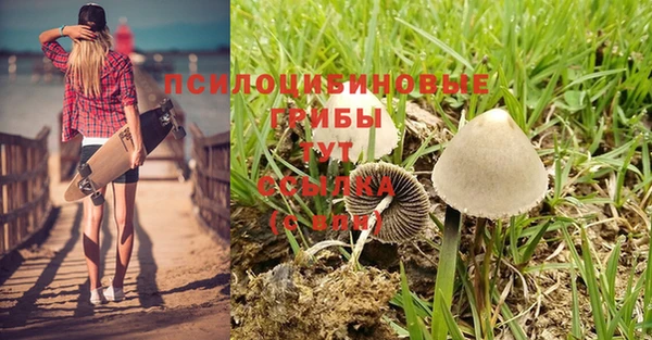 твердый Бородино