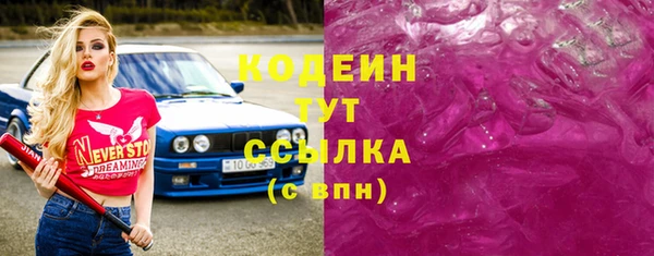 твердый Бородино