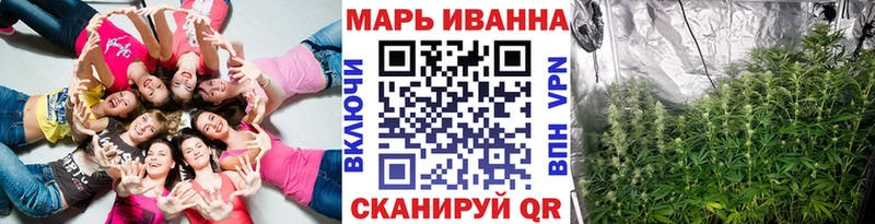 где продают наркотики  Губкин  Бошки Шишки гибрид 